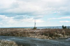 311_other06-scaled